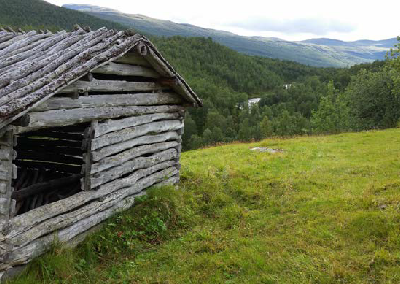 Ett rikt odlingslandskap – miljö och livsmedelsproduktion