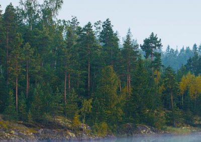 Hållbarhet i de regionala tillväxtmedlen i Region Jämtland Härjedalen.