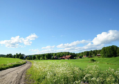 Underlag till Västerbottens livsmedelsstrategi Miljö-klimat-energi