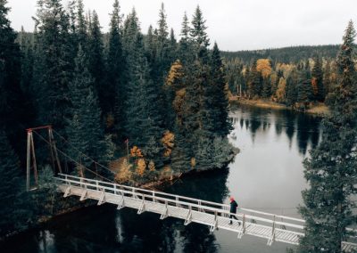 Trender och förändringar – effekter på framtida kompetensbehoven i Jämtlands län