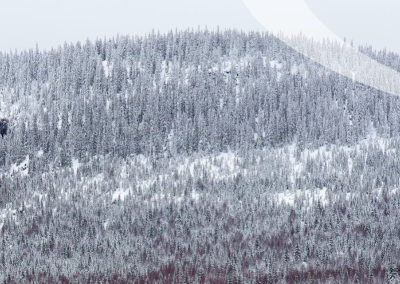 Analys- och kunskapsunderlag till en smart specialiseringsstrategi för Jämtland Härjedalen