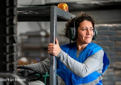 Regionala trender och prognoser 2025