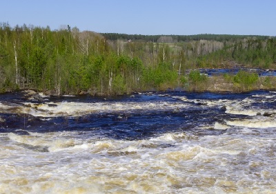 Näringslivsanalys Västerbotten 2019-2024