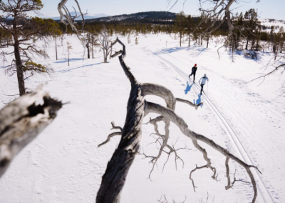 Gästundersökning vintern 2025/2026, Jämtland Härjedalen