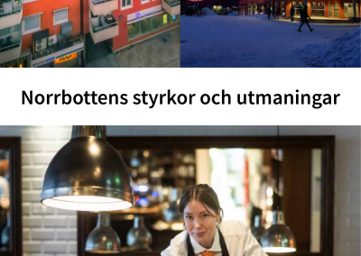 Norrbottens styrkor och utmaningar